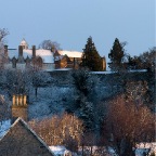 holy Rude in the snow